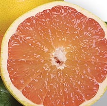 grapefruit-220.jpg (16 KB)