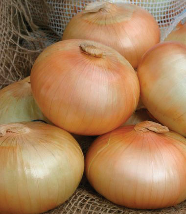 Al's Family Farms Genuine Vidalia Sweet Onions