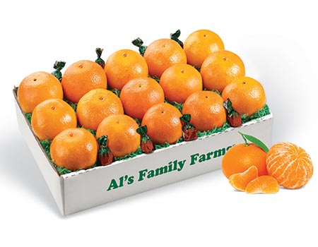 Florida Citrus Navel Oranges