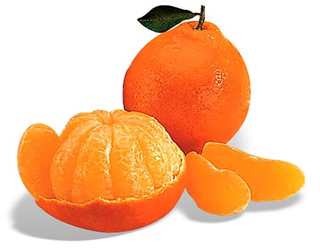 Best Sellers: Best Fresh Mandarian Oranges