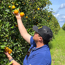 Matt Checking Valencias-cropped-220.jpg (120 KB)