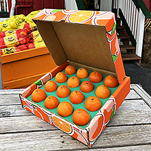 Petite Sugarbelle Mandarins