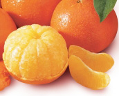 Heirloom Temple Oranges