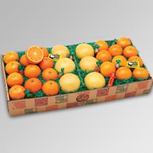 Navel Oranges, Gourmet Citrus-Al's Family Farms