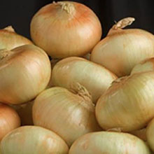 Al's Family Farms Genuine Vidalia Sweet Onions