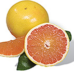 Ruby Red Grapefruit