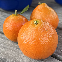 grapefruit-220.jpg (16 KB)