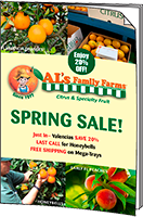 Spring Sale Brochure